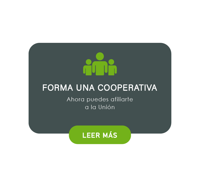 Afiliadas